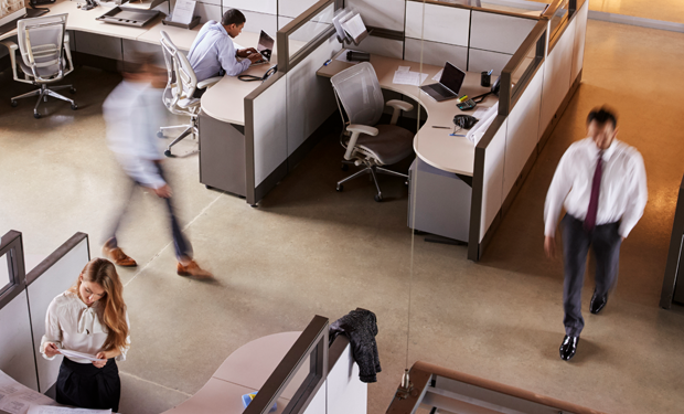 web-e911-offices-01